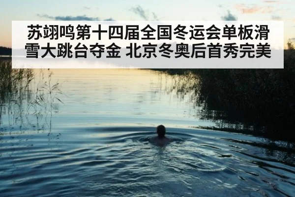 苏翊鸣第十四届全国冬运会单板滑雪大跳台夺金 北京冬奥后首秀完美