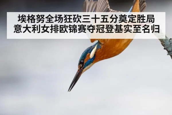埃格努全场狂砍三十五分奠定胜局 意大利女排欧锦赛夺冠登基实至名归
